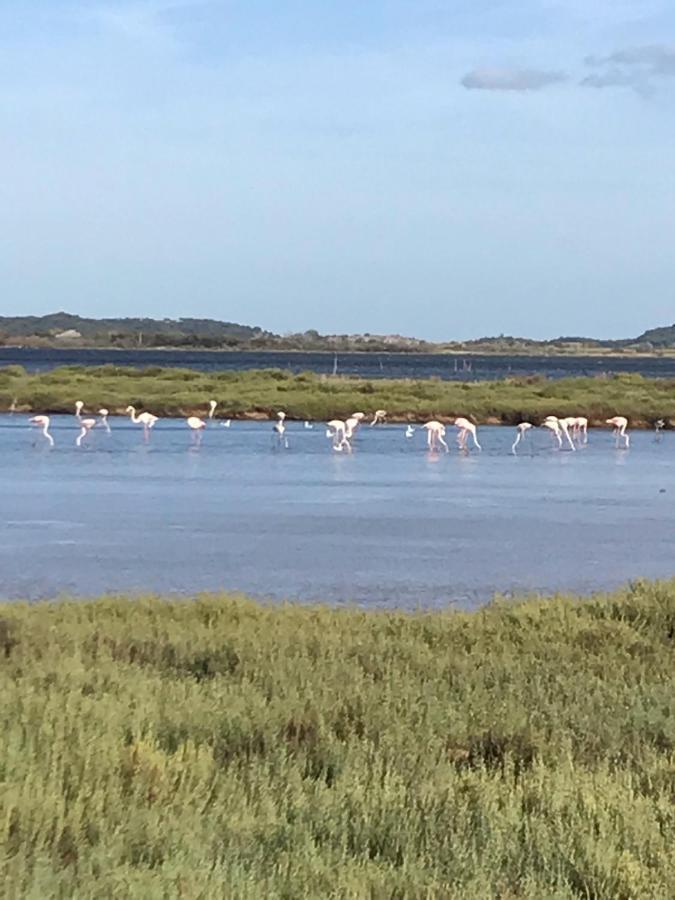Отель L Ostalada Roquefort-des-Corbieres Экстерьер фото